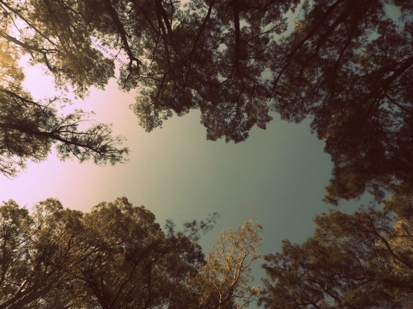 How to write better, clearer sentences